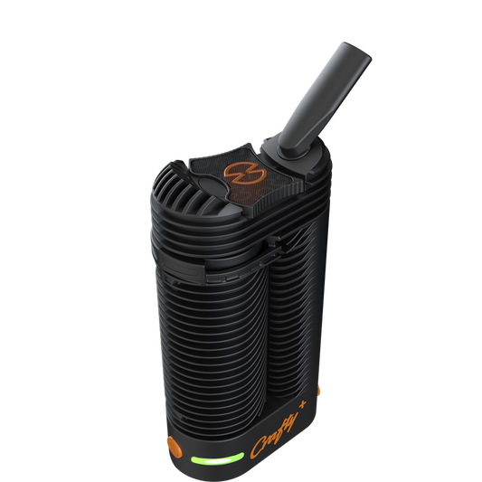 Vaporisateur Storz & Bickel CRAFTY+ (Plus)
